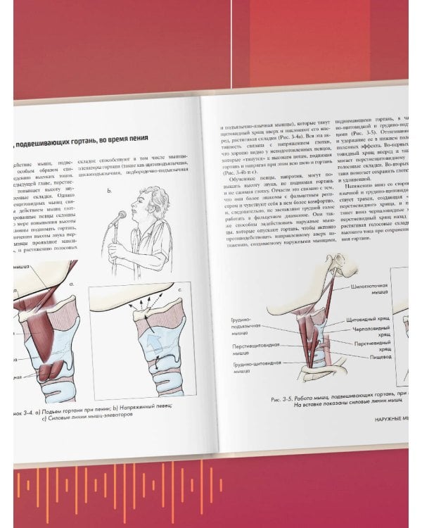 Анатомия голоса. Иллюстрированное руководство для певцов, преподавателей по вокалу и логопедов