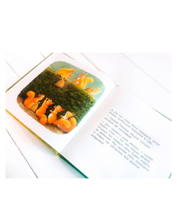 Бельчонок Робин Скок, или Рыжий храбрец