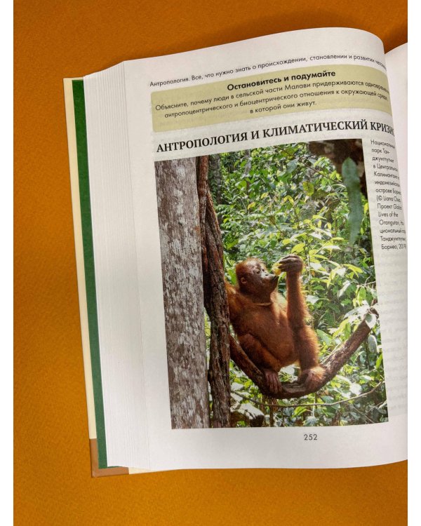 Антропология. Всё, что нужно знать о происхождении, становлении и развитии человека