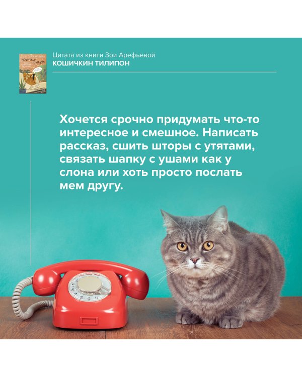 Кошичкин тилипон. Правдиви истори о котиках и их никчемни. Экспресс-помощь для тех, кто застрял в рутине и ищет вдохновение