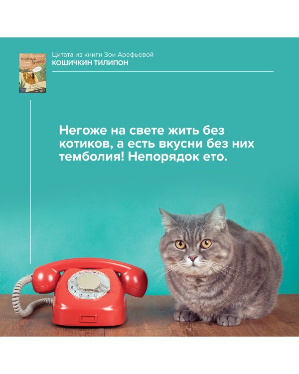 Кошичкин тилипон. Правдиви истори о котиках и их никчемни. Экспресс-помощь для тех, кто застрял в рутине и ищет вдохновение