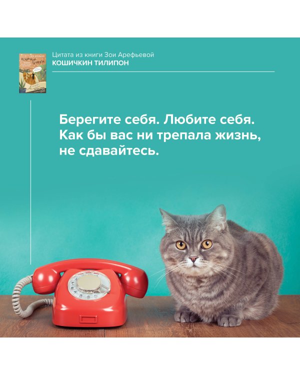 Кошичкин тилипон. Правдиви истори о котиках и их никчемни. Экспресс-помощь для тех, кто застрял в рутине и ищет вдохновение