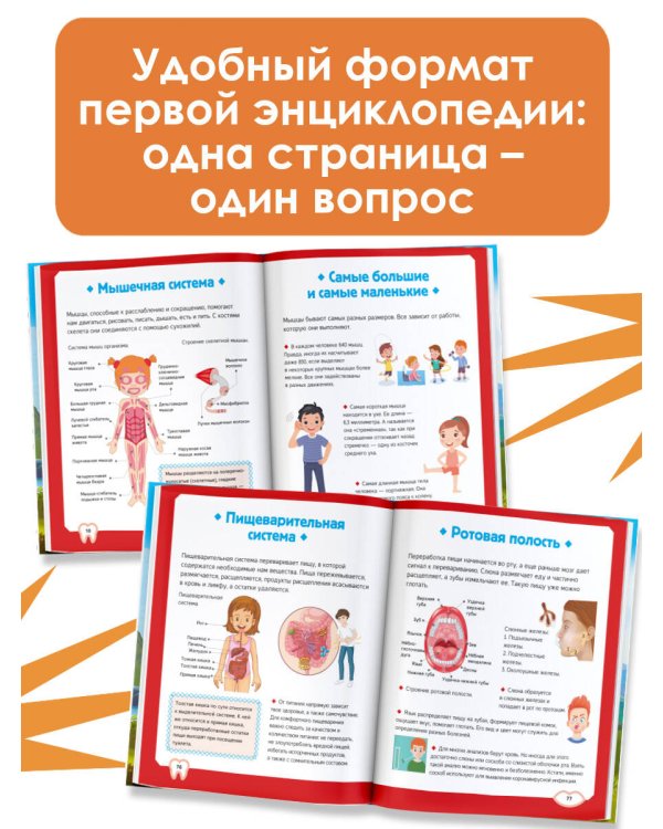 Тело человека