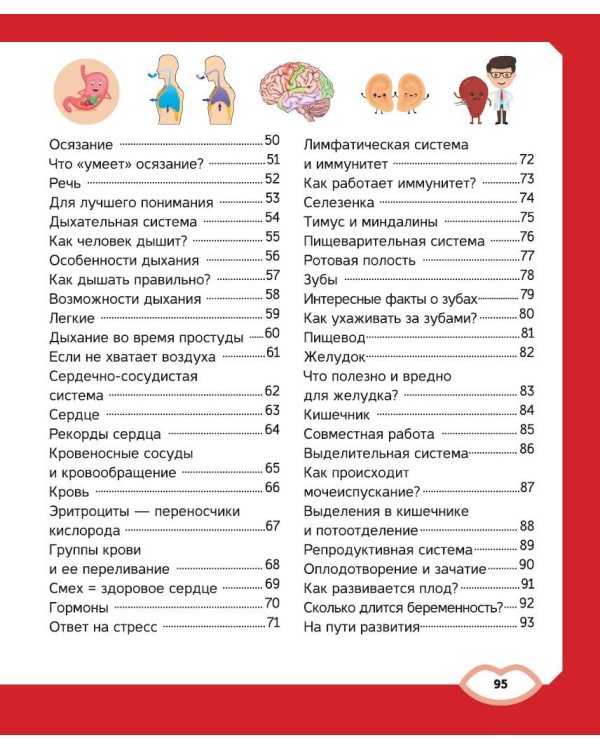 Тело человека