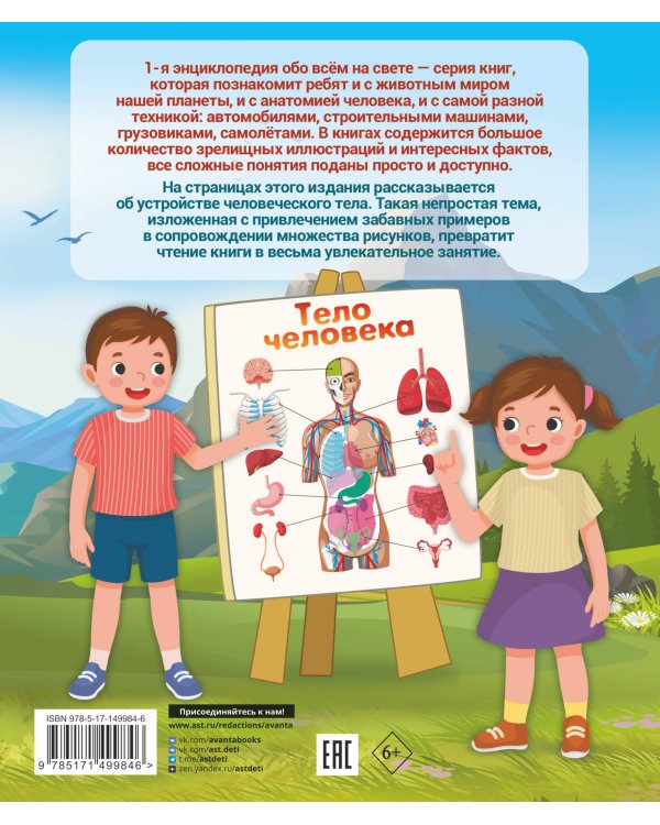 Тело человека