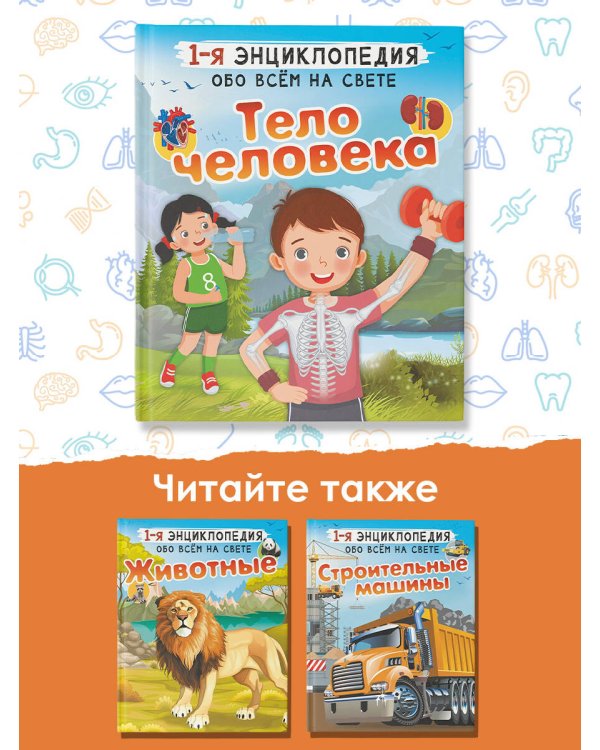 Тело человека
