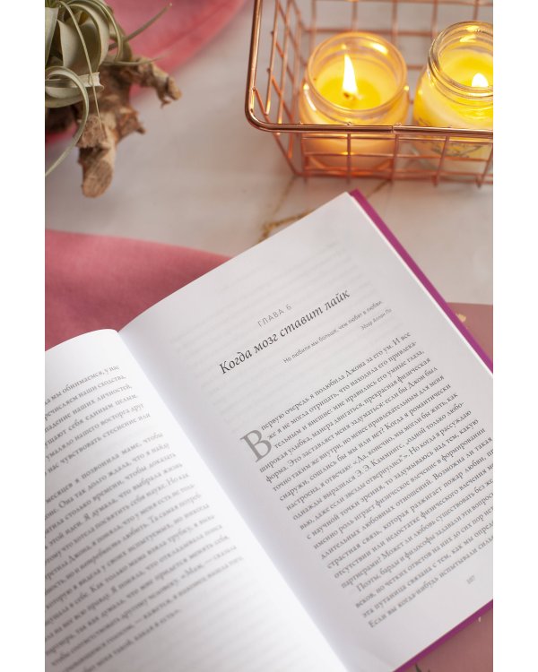 Там, где рождается любовь. Нейронаука о том, как мы выбираем и не выбираем друг друга