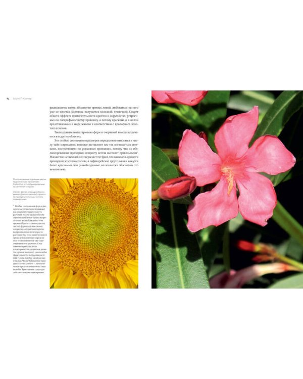 Цветы. Естественная история