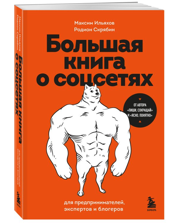 Большая книга о соцсетях для предпринимателей, экспертов и блогеров