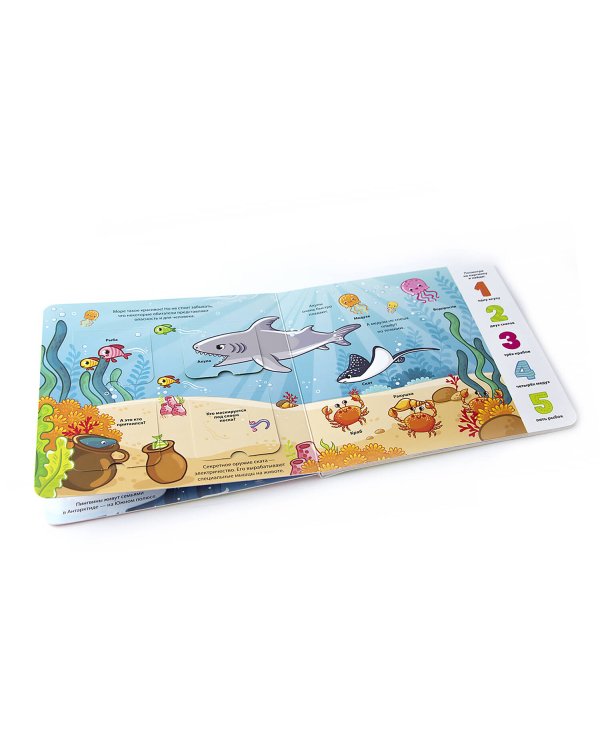 Море (книжка с окошками)