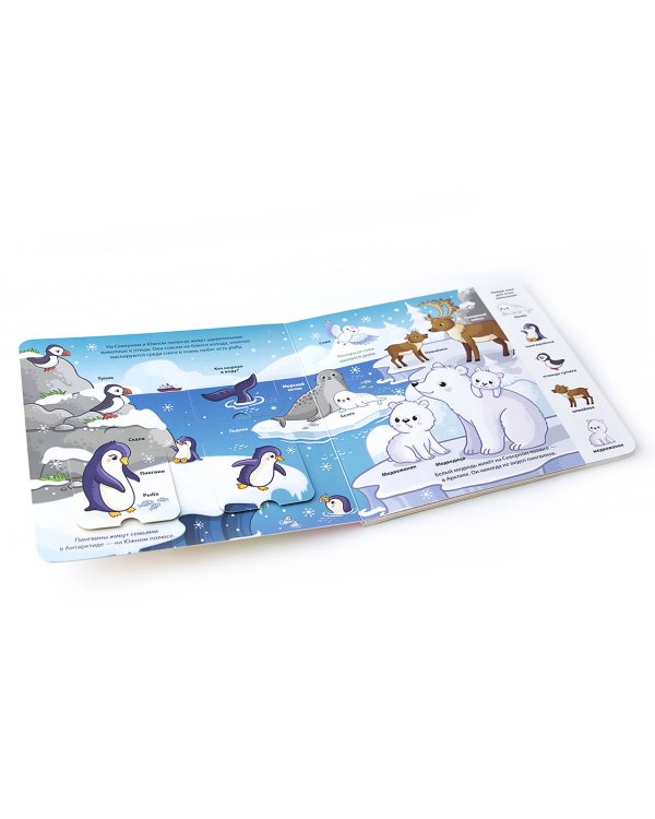 Море (книжка с окошками)