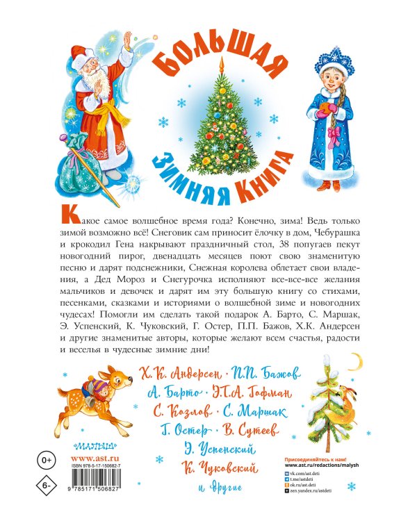 Большая зимняя книга