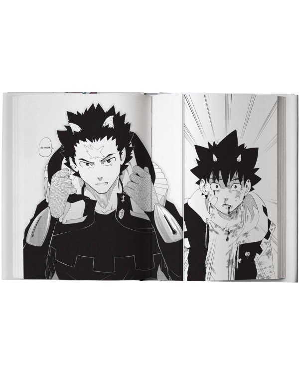 Радиант. Том 2