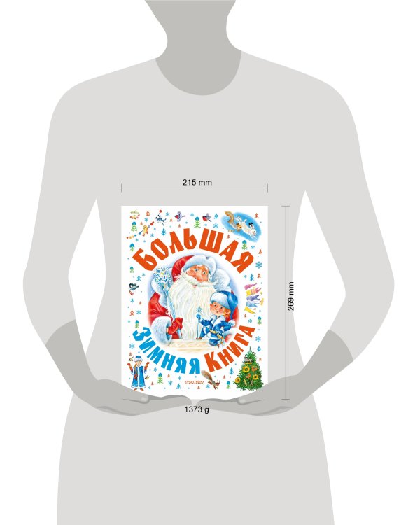 Большая зимняя книга