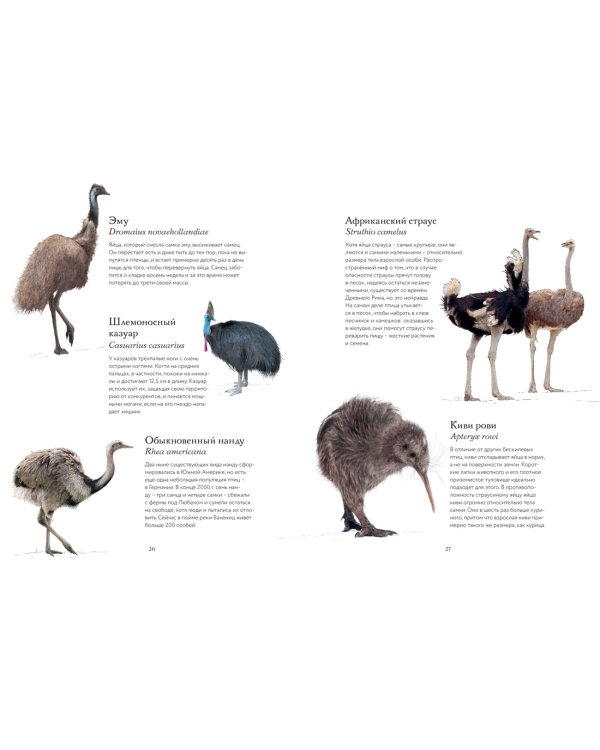 Тайны дикой природы