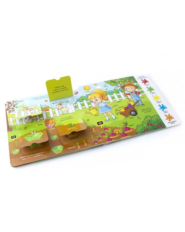 Ферма (книжка с окошками)