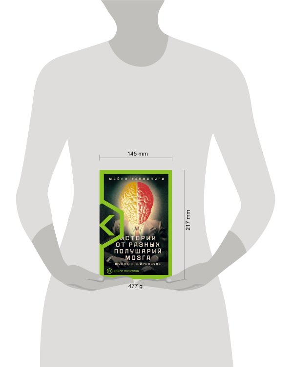 Истории от разных полушарий мозга