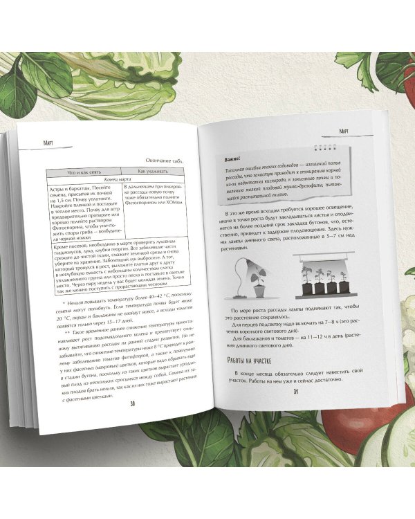 Лунный календарь для разумных дачников 2025 от Галины Кизимы