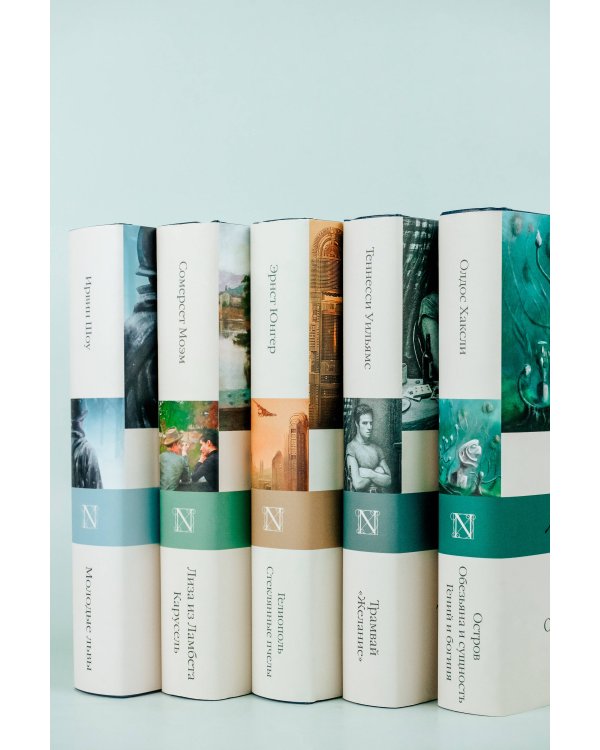 Молодые львы