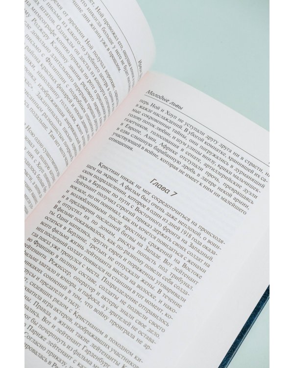 Молодые львы