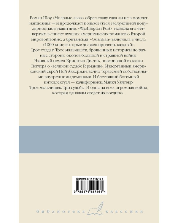 Молодые львы