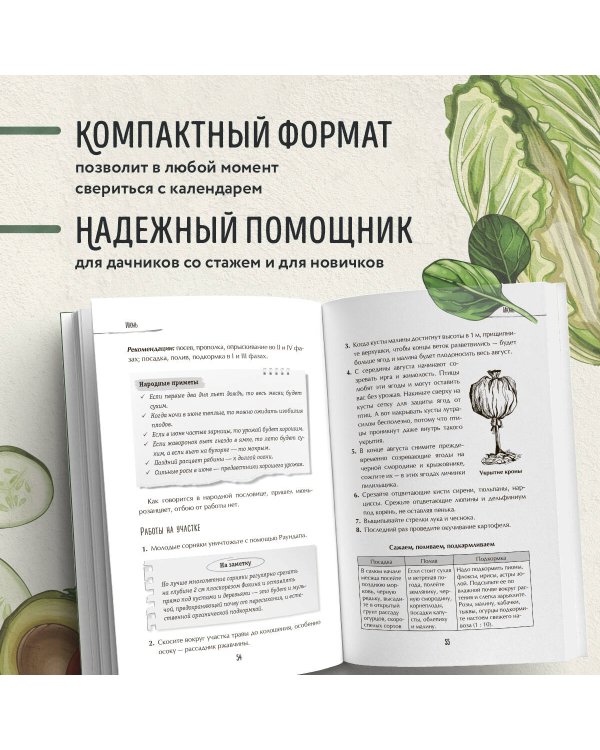 Лунный календарь для разумных дачников 2025 от Галины Кизимы