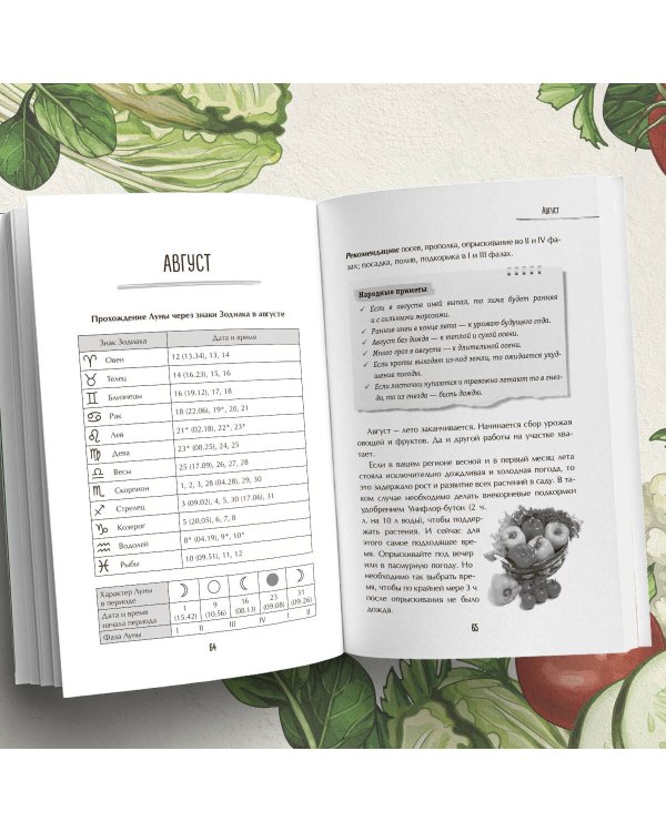 Лунный календарь для разумных дачников 2025 от Галины Кизимы