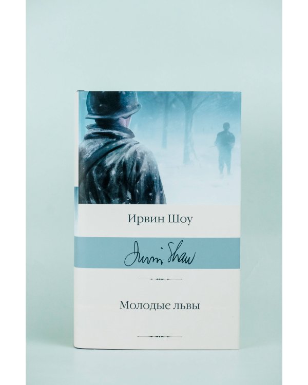 Молодые львы