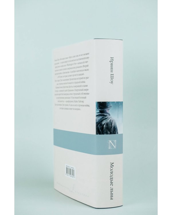 Молодые львы