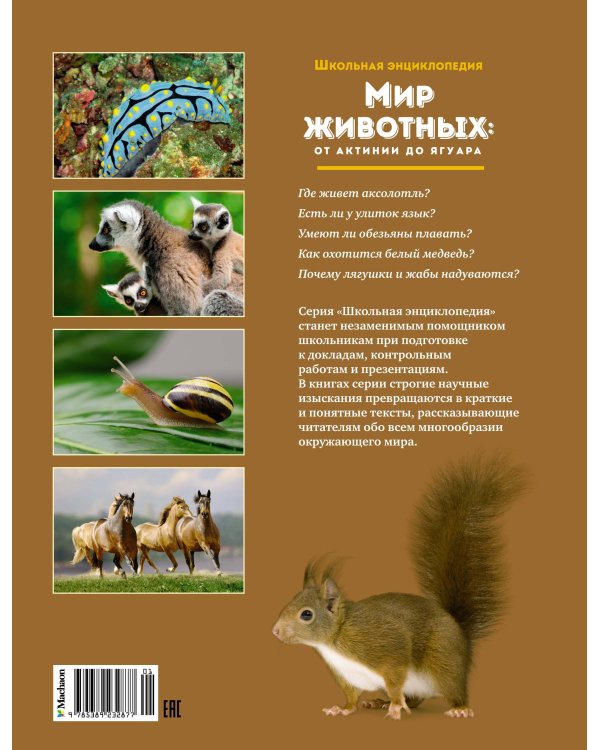 Мир животных: от актинии до ягуара