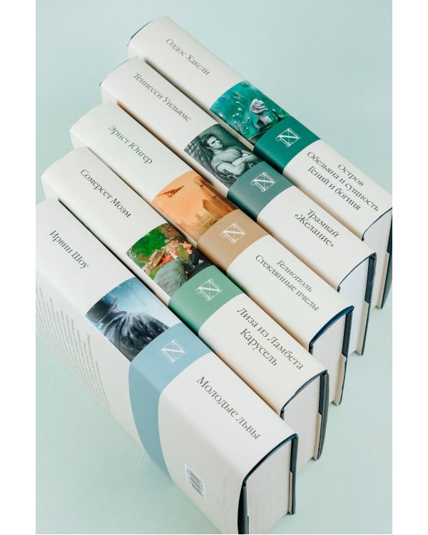 Молодые львы