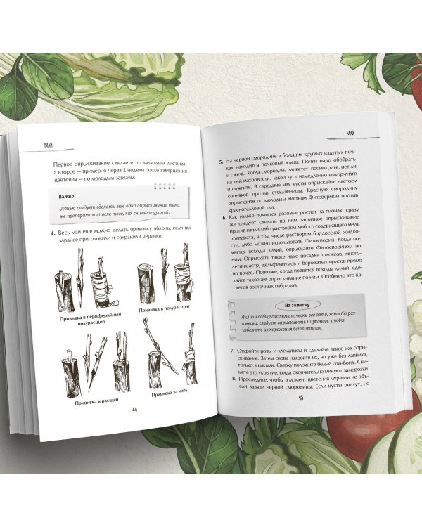 Лунный календарь для разумных дачников 2025 от Галины Кизимы