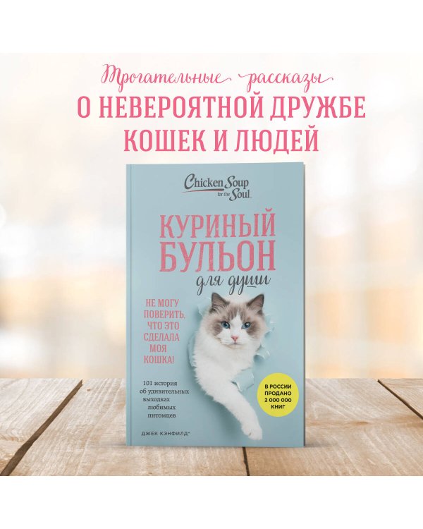 Куриный бульон для души. Не могу поверить, что это сделала моя кошка! 101 история об удивительных выходках любимых питомцев