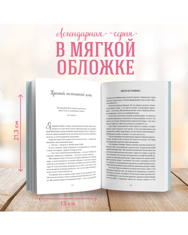 Куриный бульон для души. Не могу поверить, что это сделала моя кошка! 101 история об удивительных выходках любимых питомцев