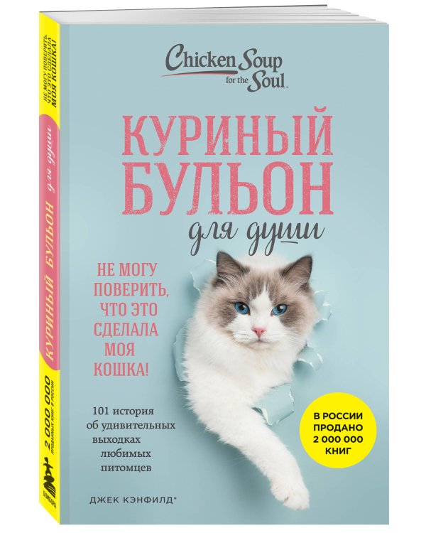 Куриный бульон для души. Не могу поверить, что это сделала моя кошка! 101 история об удивительных выходках любимых питомцев