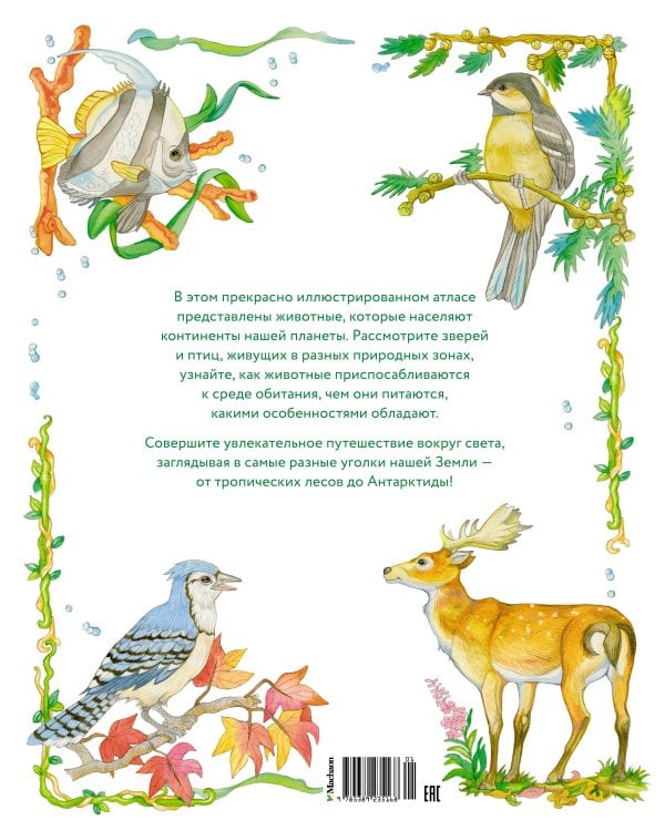 Атлас животных в картинках. Путешествие вокруг света