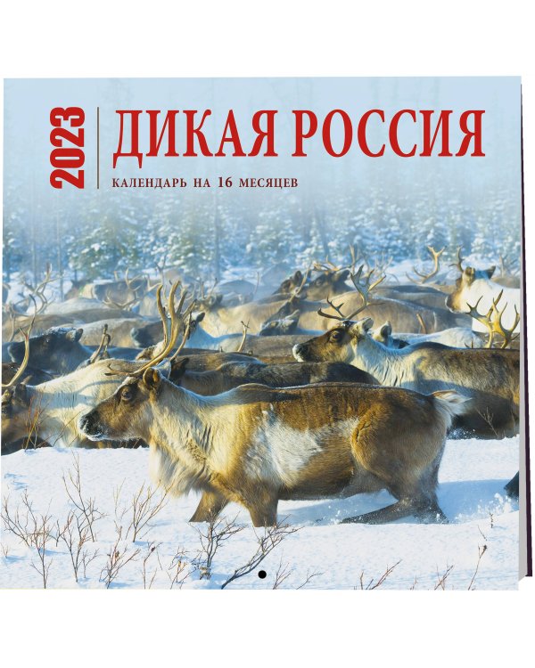 Дикая Россия. Календарь настенный на 16 месяцев на 2023 год (300х300 мм)