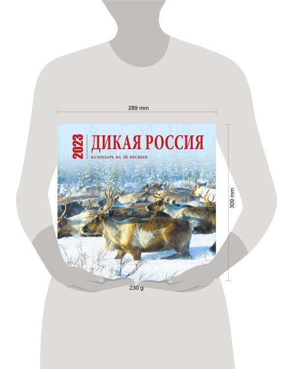 Дикая Россия. Календарь настенный на 16 месяцев на 2023 год (300х300 мм)