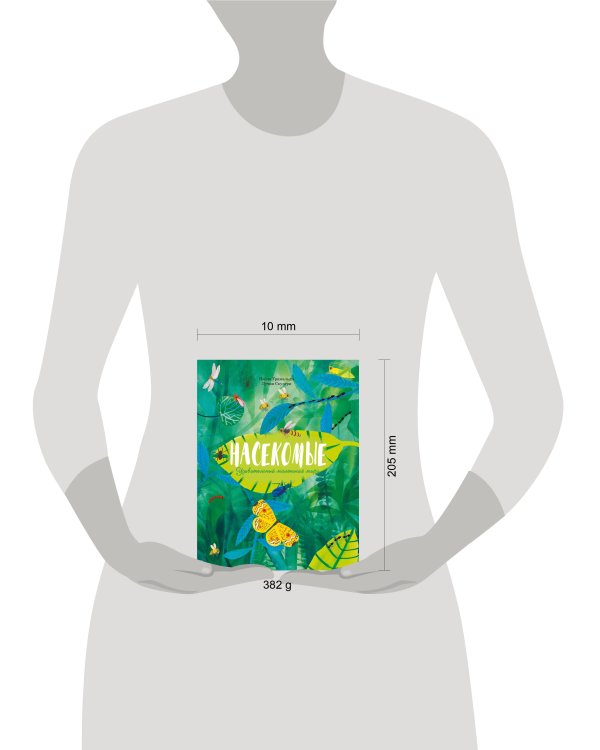 Насекомые. Удивительный маленький мир