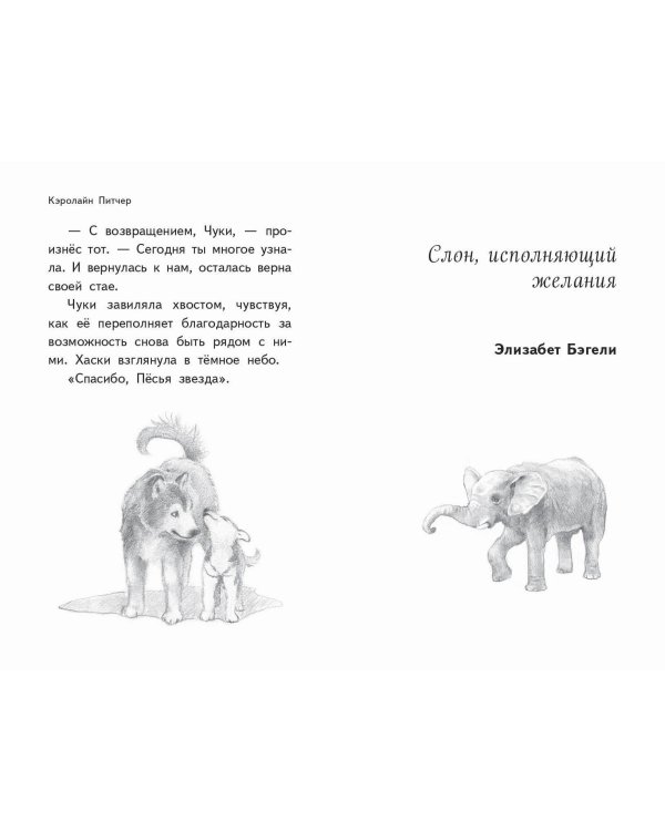 Чудеса в полярную ночь