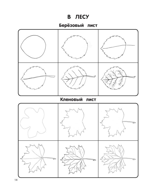 Экспресс-курс по рисованию