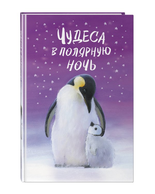 Чудеса в полярную ночь