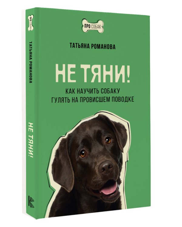 Не тяни! Как научить собаку гулять на провисшем поводке