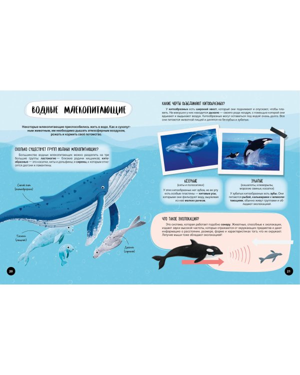 Что? Как? Почему? Мои первые знания про ЖИВОТНЫХ (с постером)