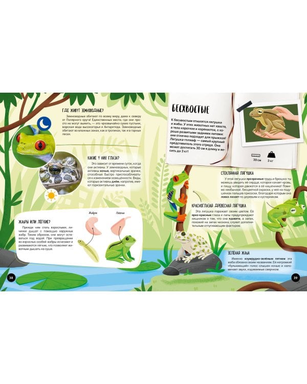 Что? Как? Почему? Мои первые знания про ЖИВОТНЫХ (с постером)