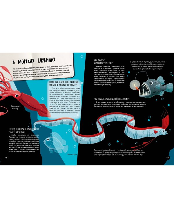 Что? Как? Почему? Мои первые знания про ЖИВОТНЫХ (с постером)