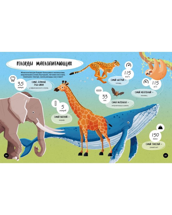 Что? Как? Почему? Мои первые знания про ЖИВОТНЫХ (с постером)
