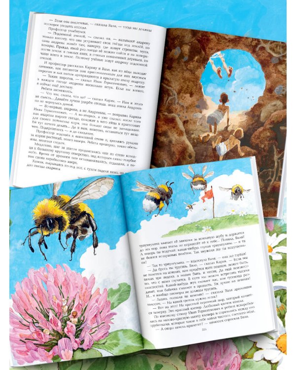 Необыкновенные приключения Карика и Вали