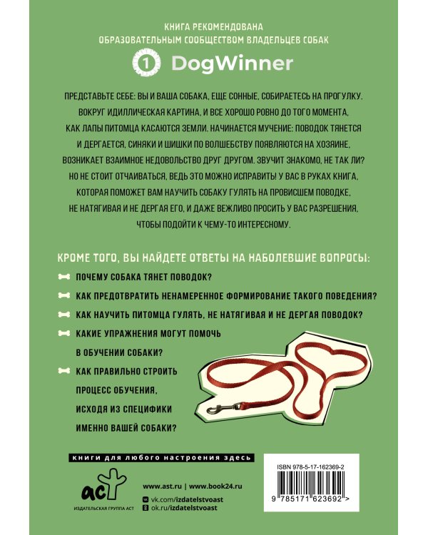 Не тяни! Как научить собаку гулять на провисшем поводке