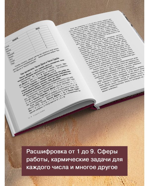 Ведическая нумерология. Кармический код судьбы